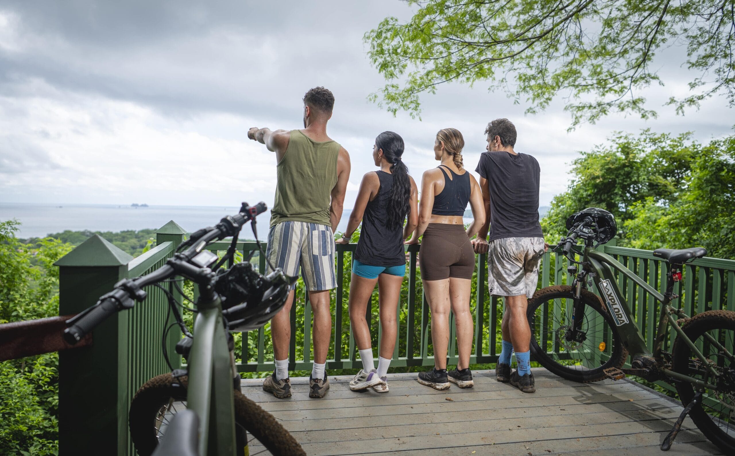Electric Bike: Iguana Power