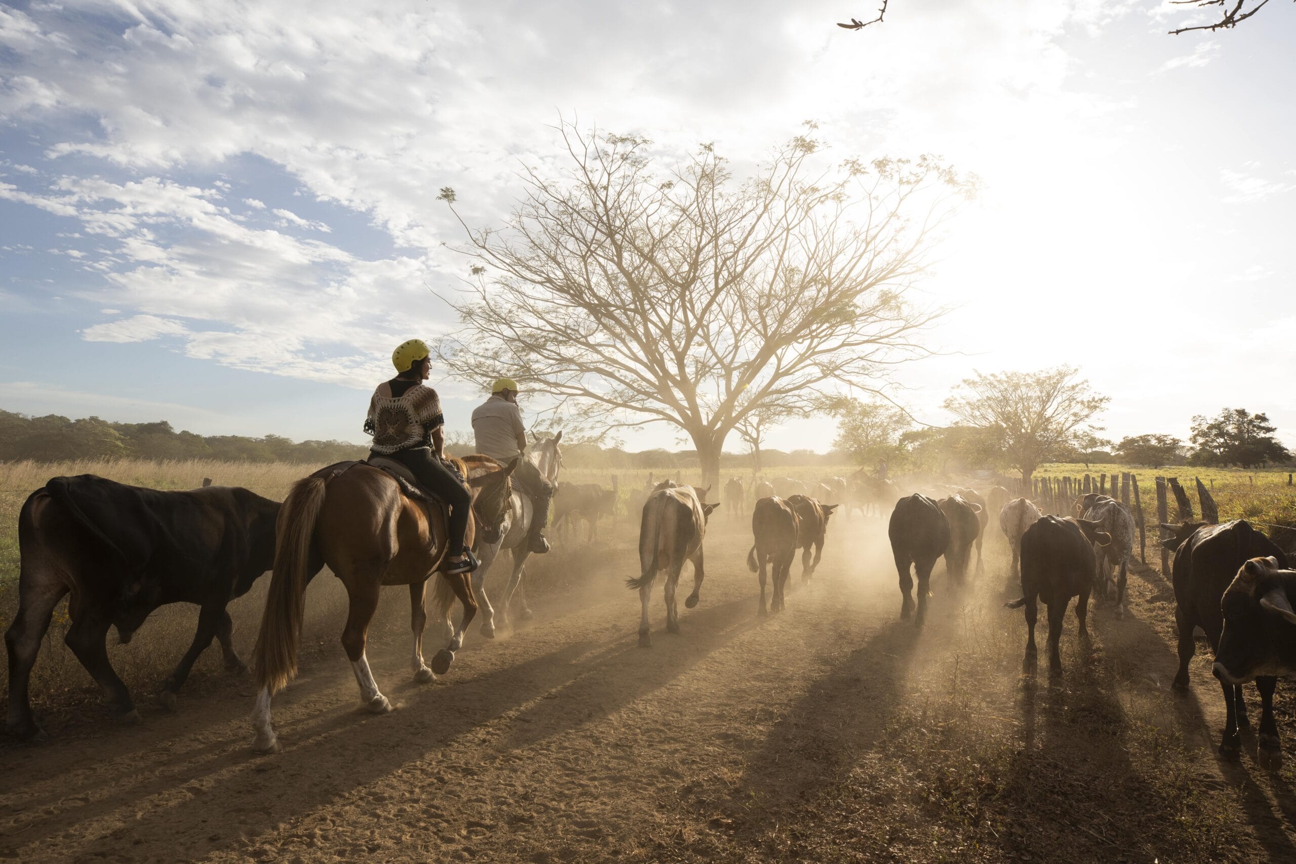 Sabanero for a day at Guanacaste’s Hacienda