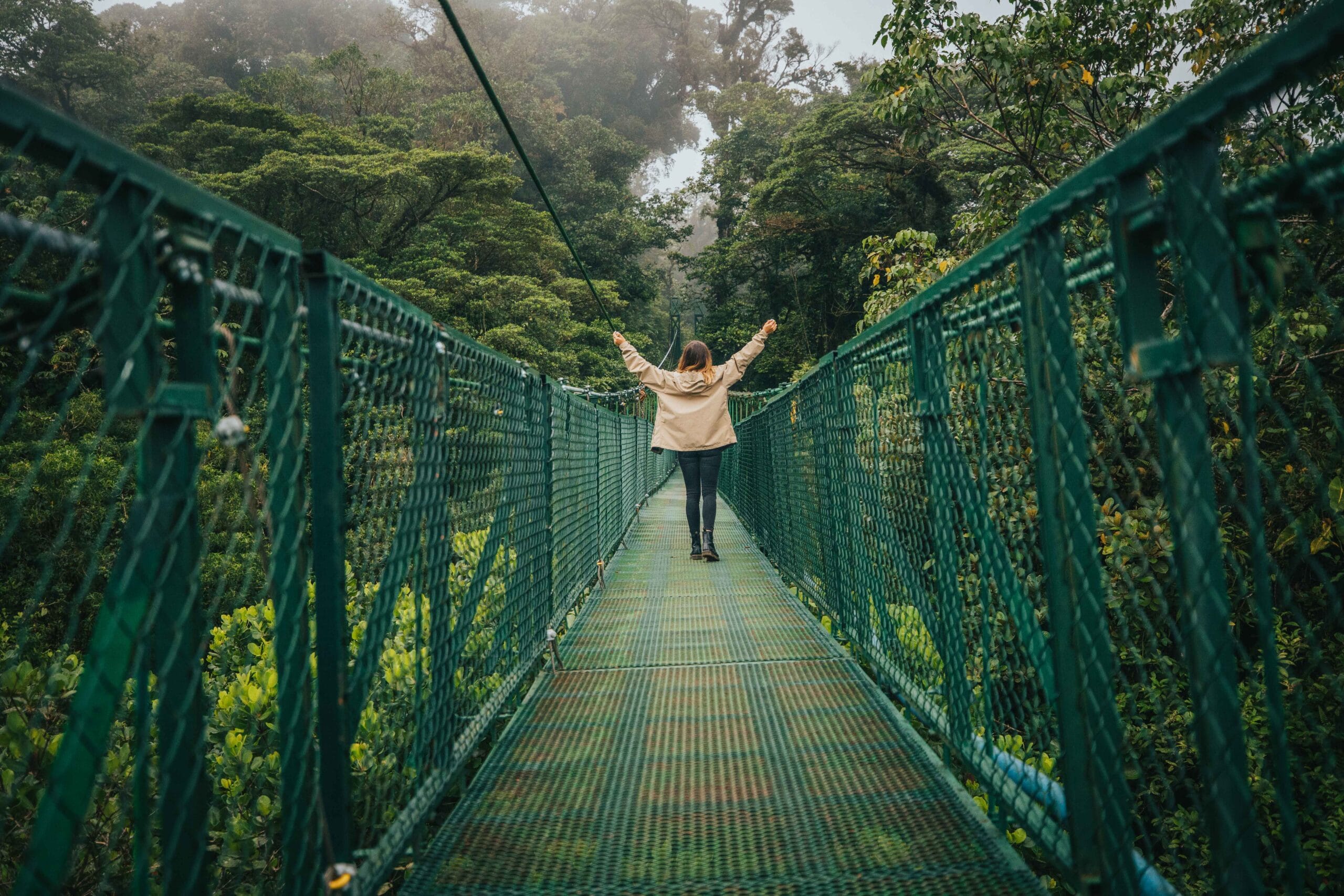 Wonders Of Monteverde Walk