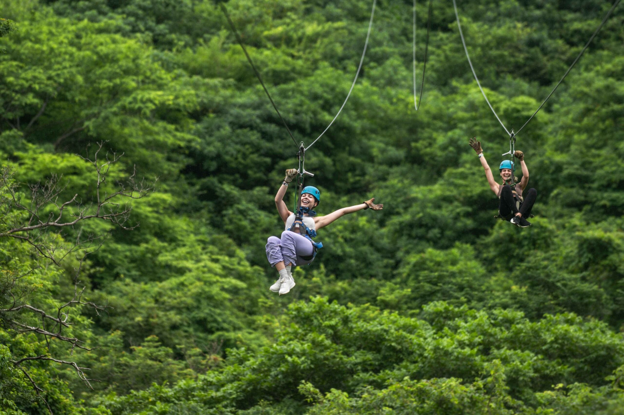 Zip-lines & Wildlife Sanctuary