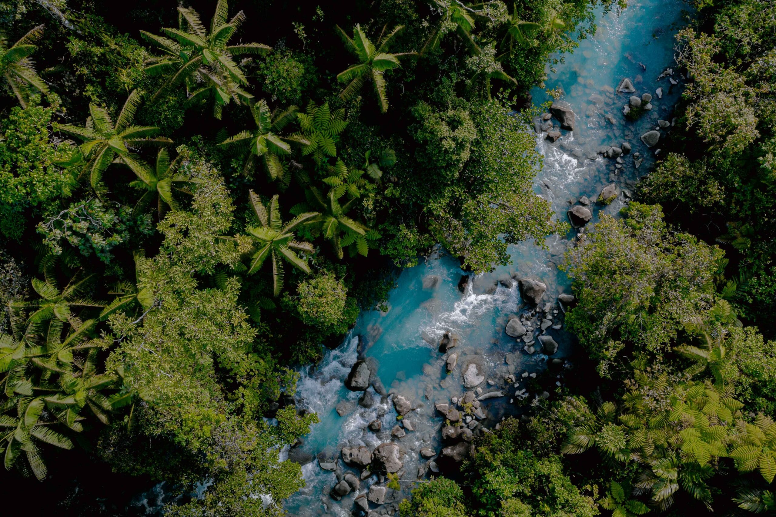 Magical Celeste River & Rainforest Hanging Bridges