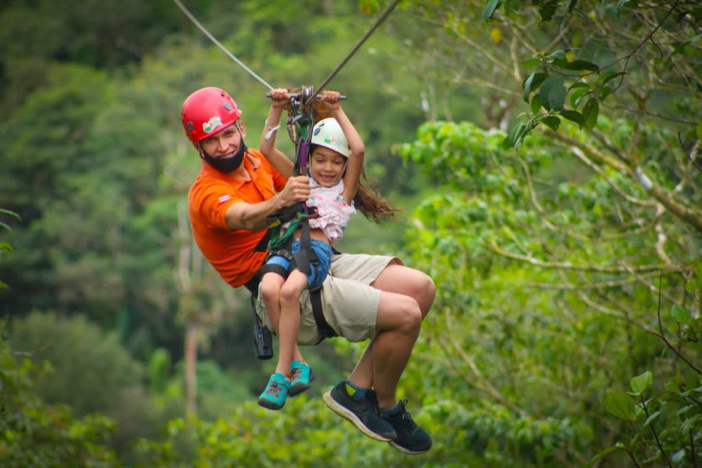 Zip Lines - Canopy Tour