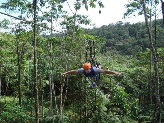 Canopy and Hanging Bridges