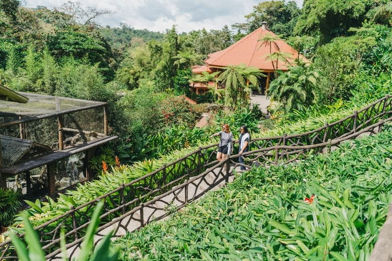 Coffee & Waterfalls Tour