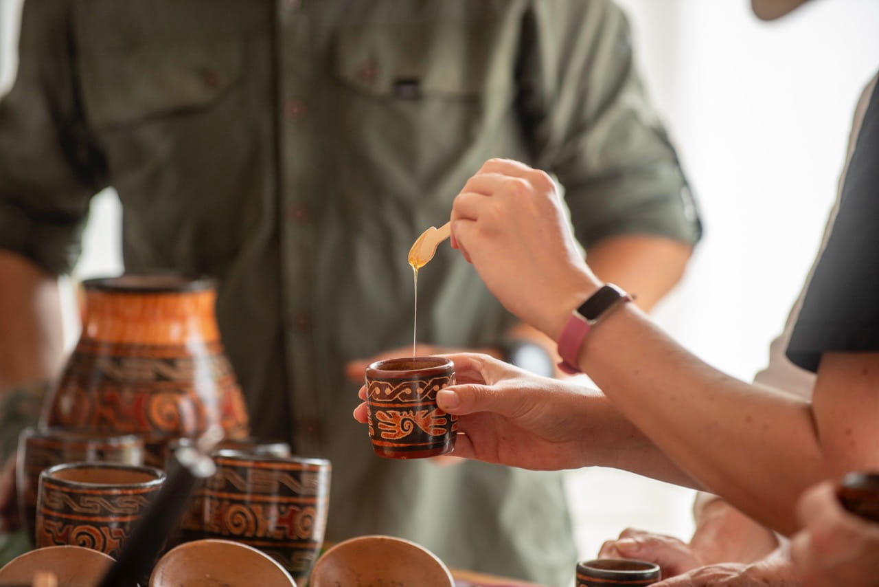 Sustainable Farming & Organic Chocolate