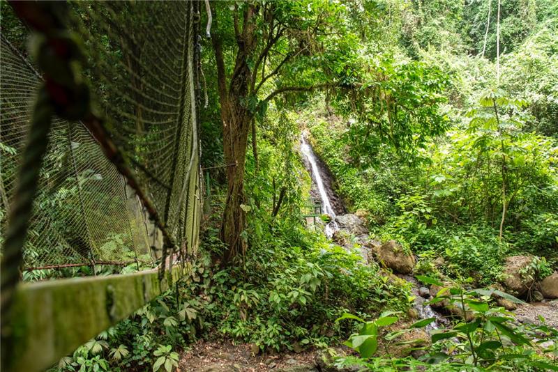 Rain maker and Waterfall Paradise