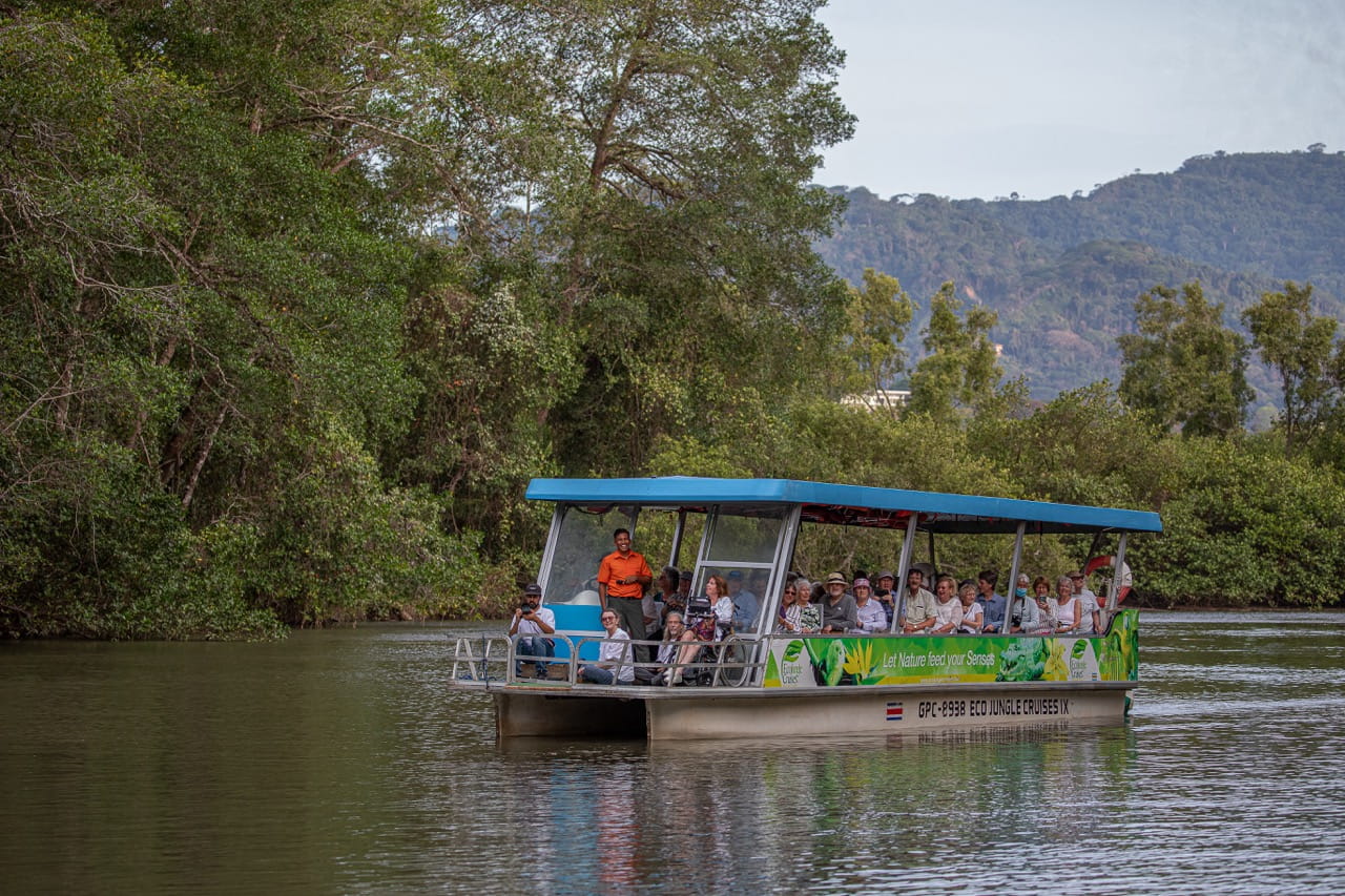Tárcoles Mangrove Wildlife Safari