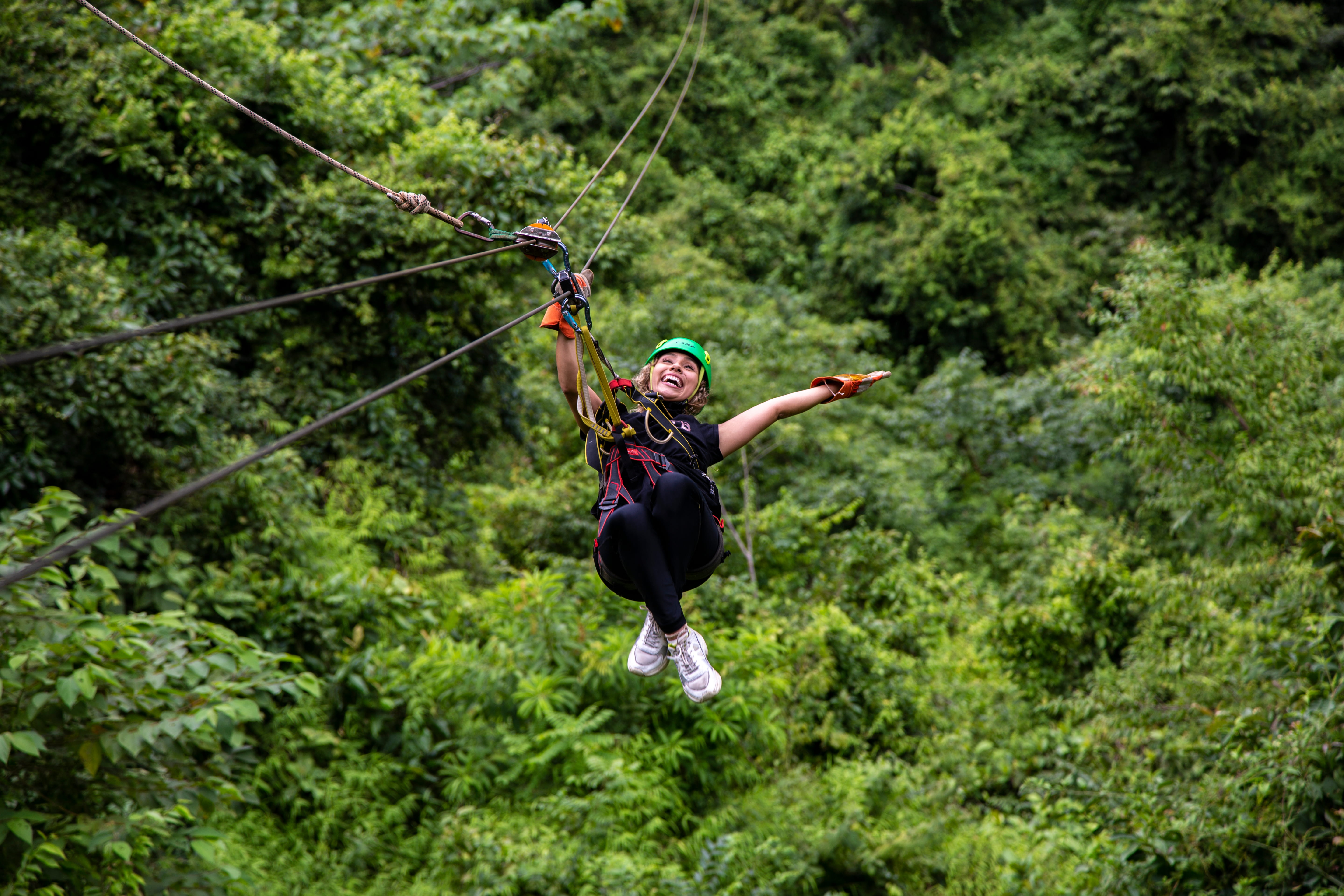 Tranopy: Aerial Tram + Zip Lines + Hikes + Butterfly Garden