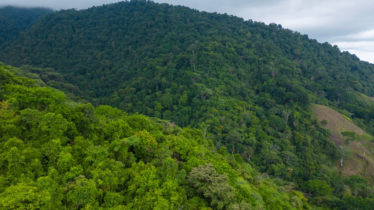 Rain maker and Waterfall Paradise