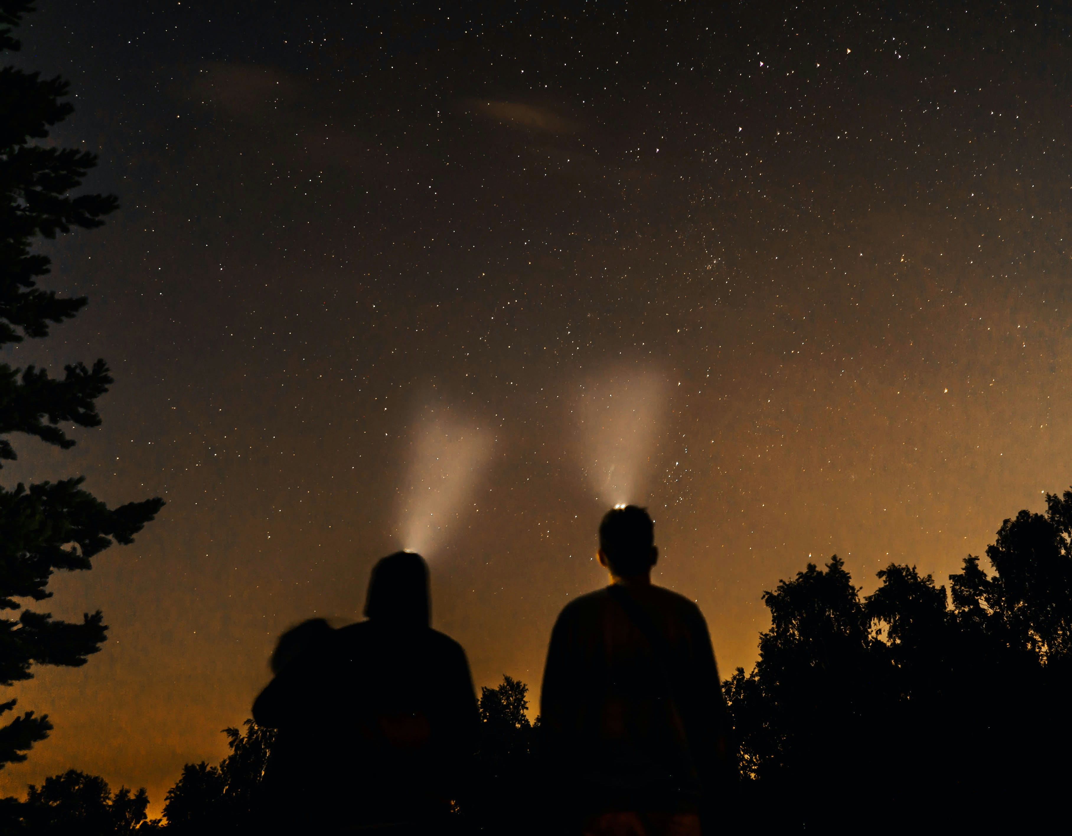 Night Wildlife Walk