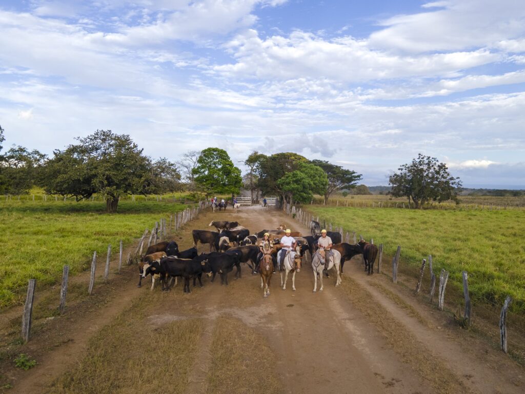 Guanacaste-Hacienda-Aromal-2024-Swiss94-min