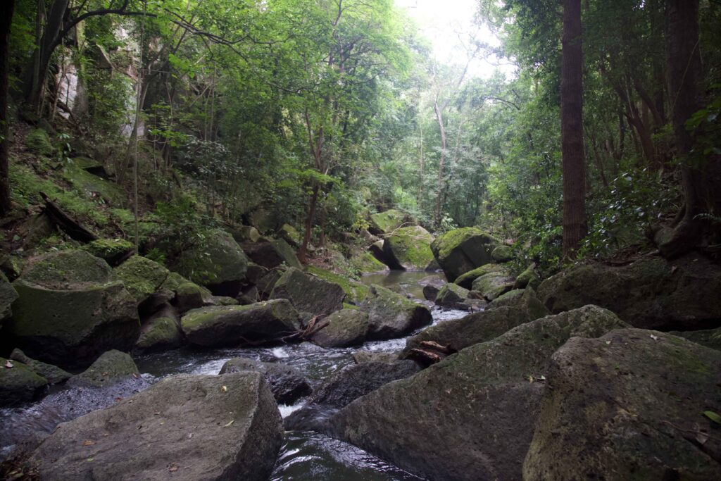 Rio-perdido-guanacaste2