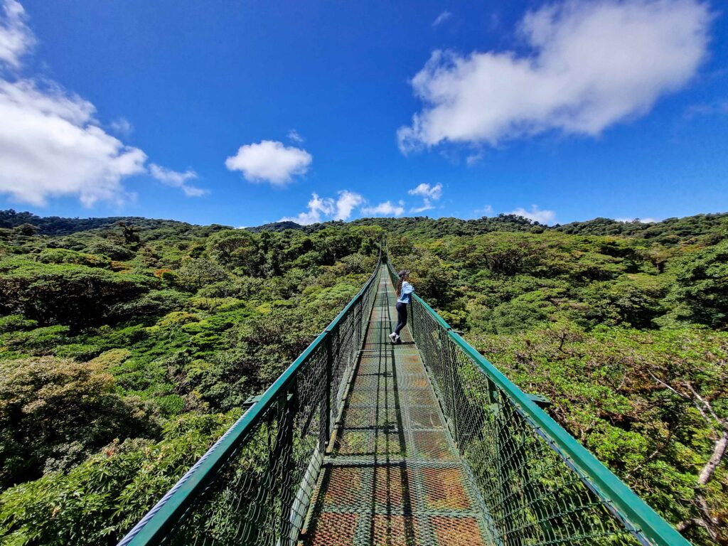 monteverde-costa-rica6