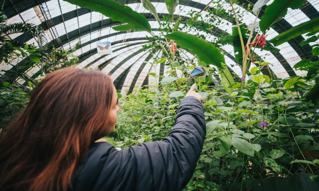 monteverde-costa-rica8