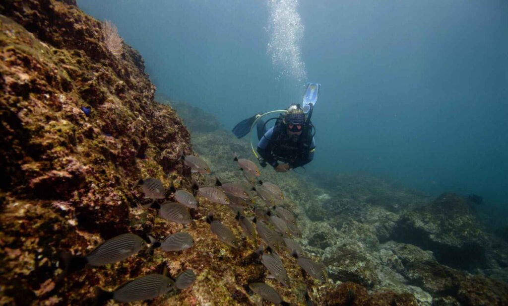 scuba-diving-costa-rica1