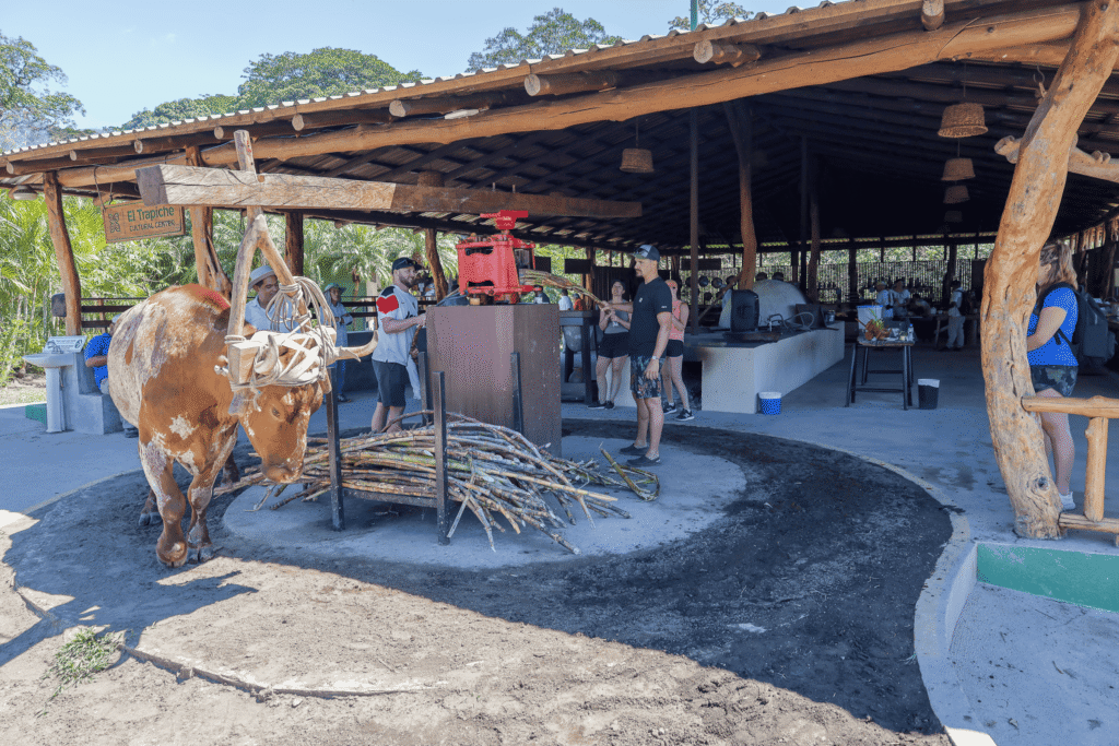 tours-in-costa-rica15