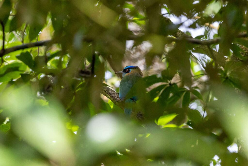 celestse-river-costa-rica3