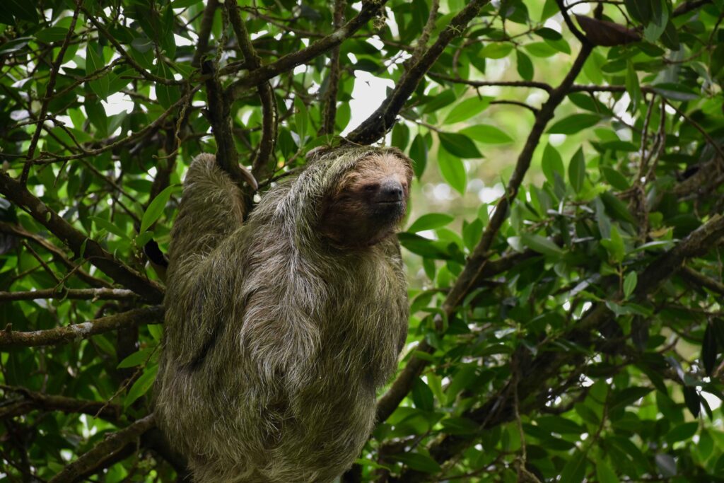 celestse-river-costa-rica4